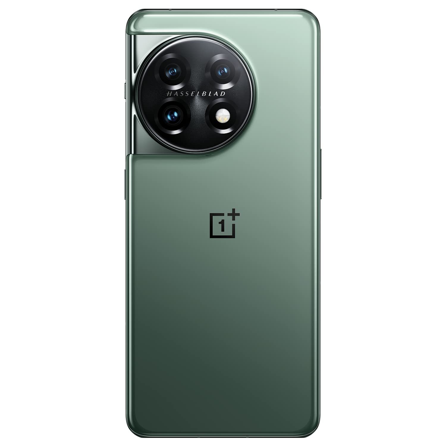 1759582025_OnePlus-11-5G-Eternal-Green-16GB-RAM-256GB-Storage.jpg