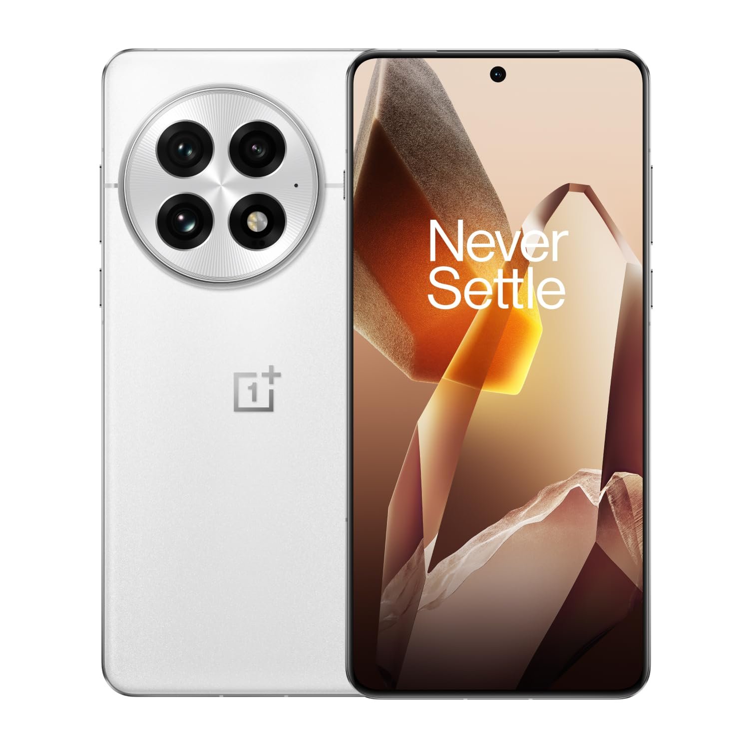 OnePlus-13-Smarter-with-OnePlus-AI-Lifetime-Display-Warranty-16GB-RAM-512GB-Storage-Arctic-Dawn-Official-Smartphone-for-BGMS-2025.jpg